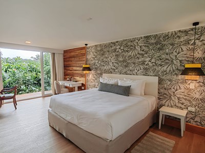 Toucanet Room