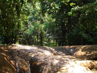 Parc national d'Ujung Kulon