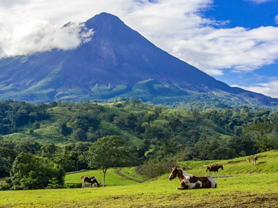 Parc National Volcan Arenal, géant endormi aux mille trésors