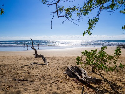 La Playa Avellana 