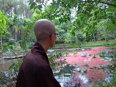 Rencontre avec un moine à Hué 