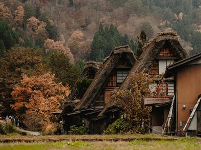 Shirakawa-go & Gokayama