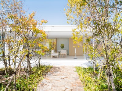 Wall Less House