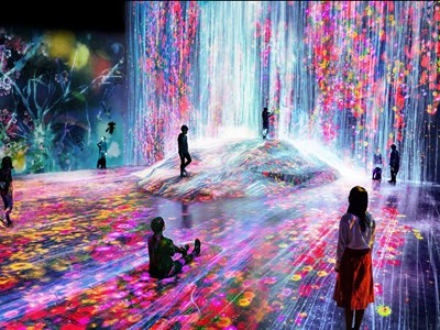 Team Labs Borderless