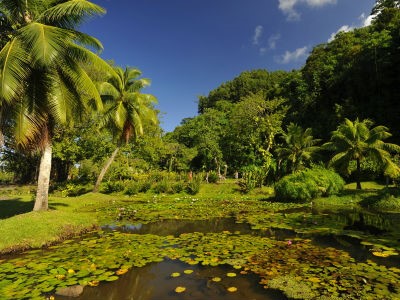 Tour Culture à Tahiti
