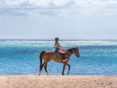 Une balade à cheval à Riambel 