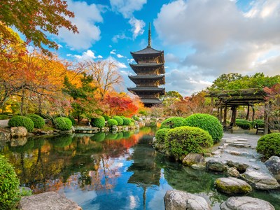 Visite privative du Temple Toji avec un moine bouddhiste