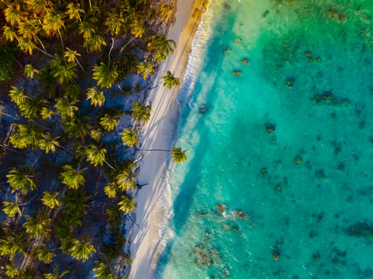Fakarava abrite une faune et une flore exceptionnelle