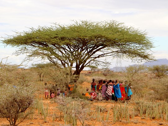 Les Samburu vivent dans les régions arides du nord kényan
