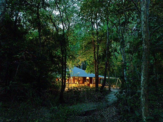 Jungle Tent