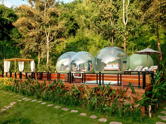 Jungle Bubble Lodge