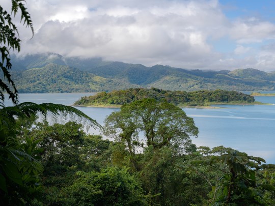 Ponts suspendus au cœur de la nature luxuriante d'Arenal