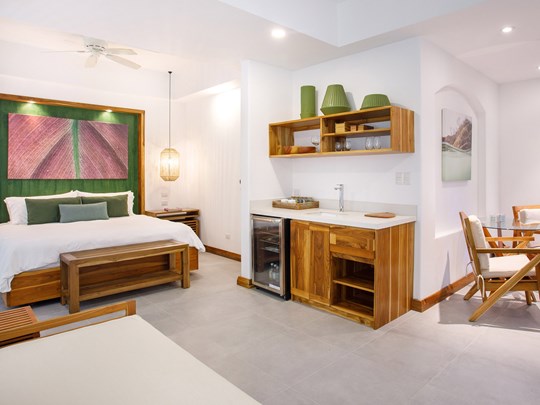 Rainforest Room