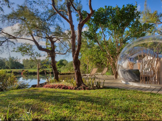 Le Bubble Lodge au coeur de la nature 