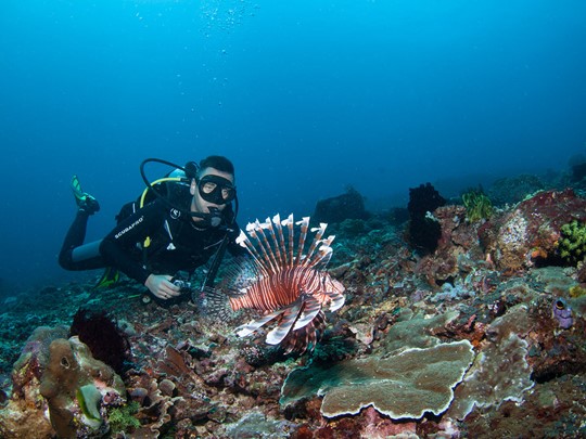 Un séjour à Candidasa est l'occasion pour les plongeurs d'explorer des fonds marins d'une richesse exceptionnelle