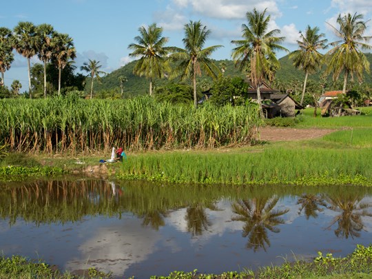 Battambang, une étape authentique