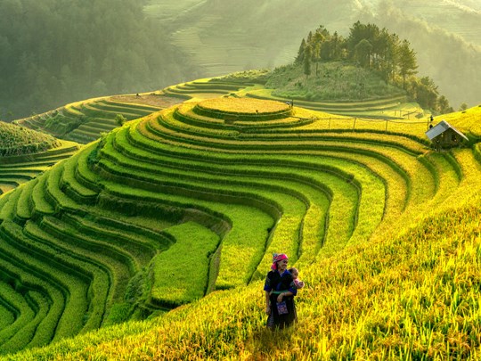 Vietnam et ses paysages verdoyants au fil des saisons