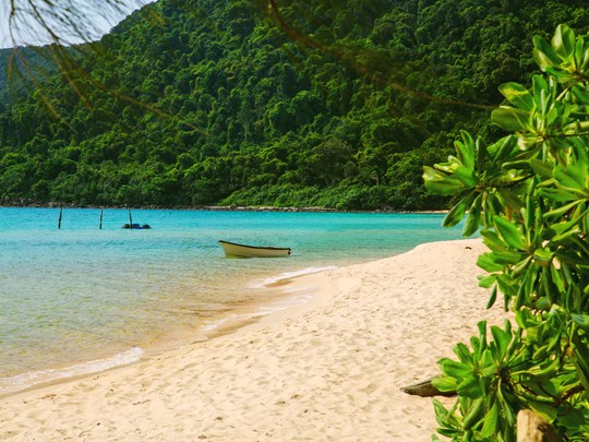 Koh Rong, des plages bordées de forêt tropicale