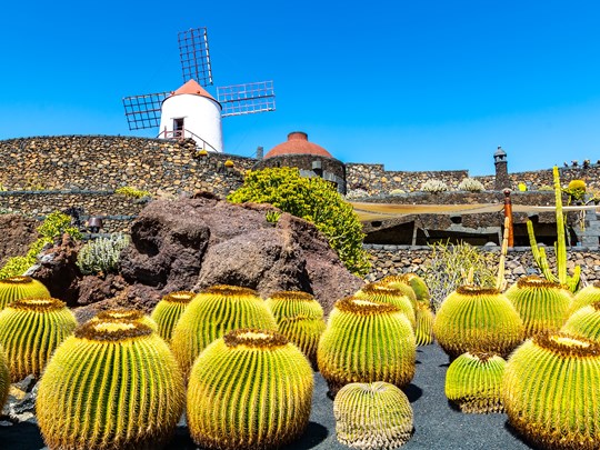 Jardin de Cactus dans le village de Guatiza, Lanzarote