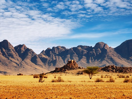 Le désert du Kalahari et sa savane dorée
