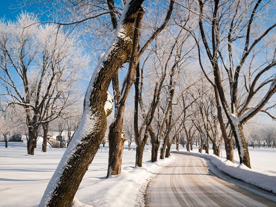 Les pistes enneigées du parc du Mont-Royal 