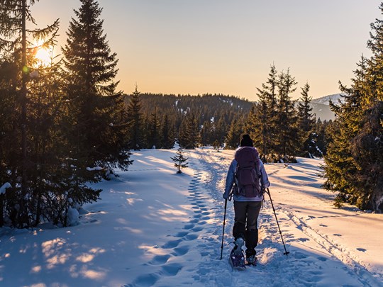 Immergerez vous dans les forêts enneigées de l’Outaouais