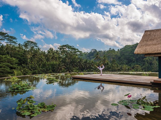 Faite du Yoga au Lotus Pond, lieu de relaxation