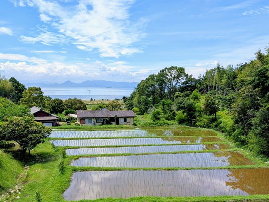 Art Japon Teshima Organic farm