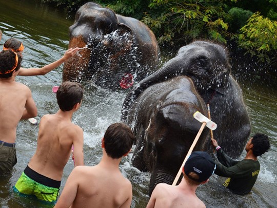 Bain des éléphants dans la belle rivière Kwai Yai