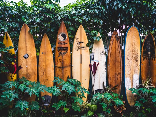 La culture du surf à Hawaii 