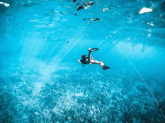 Snorkeling dans les eaux riches du Pacifique 