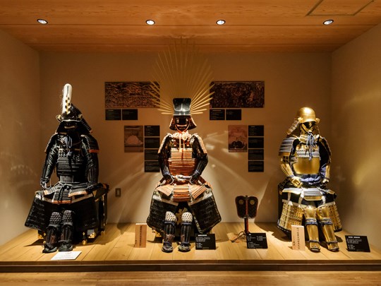 Immersion captivante dans l'univers des légendaires guerriers japonais