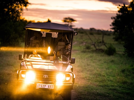 Partez en safari de nuit dans les plus belles réserves