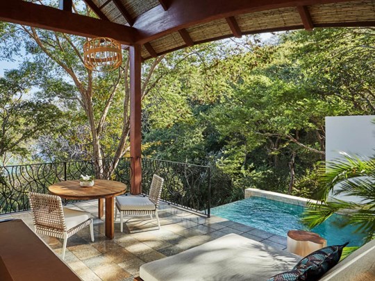 Canopy Plunge Pool Suite