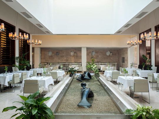 Saveurs du monde au Pangea Food Market