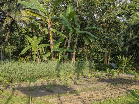 Le potager biologique de l'hôtel