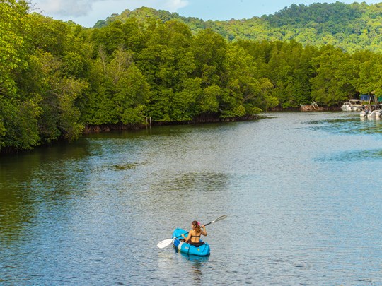 Explorez la mangrove en kayak