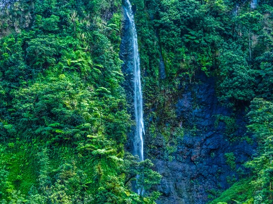 Découvrez la cascade de Fautaua au cœur de la végétation