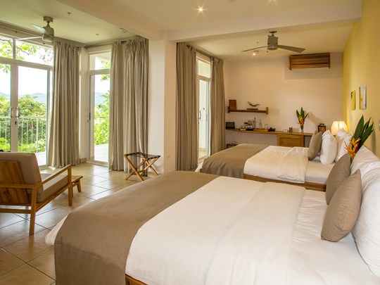 Jungle Suite