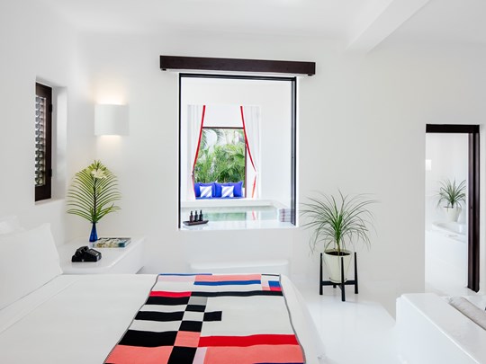 Jungle Suite with Plunge Pool