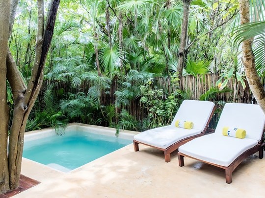 Jungle Suite with Plunge Pool