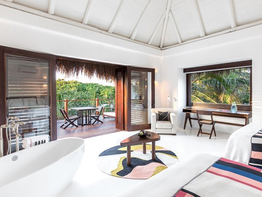 Jungle Suite