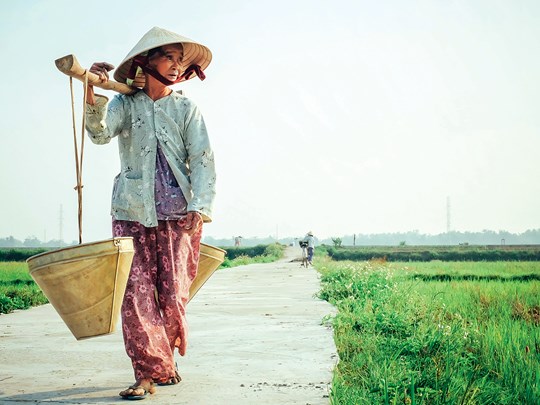 Vie rurale à Hué