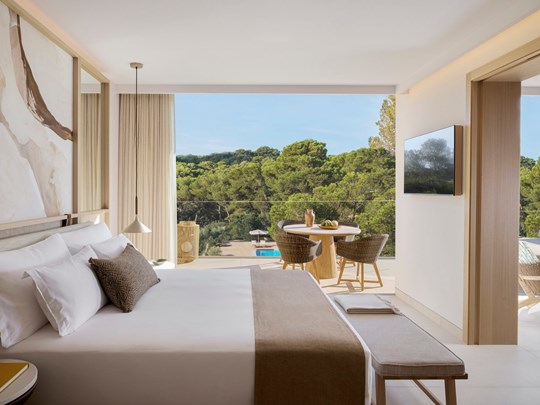 One Bedroom Suite Pool View