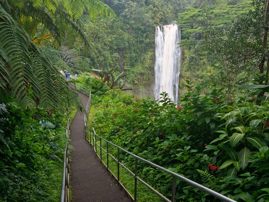 Le parc d’Akaka Falls et sa jolie cascade