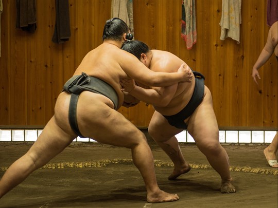 Immersion dans le monde fascinant du sumo