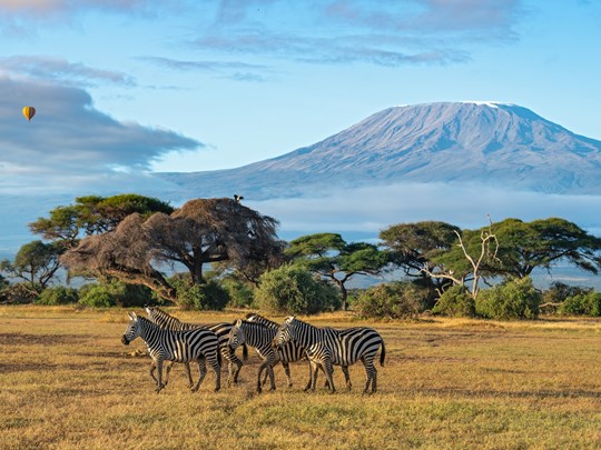 Admirez la savane qui s’étend au pied du Kilimandjaro