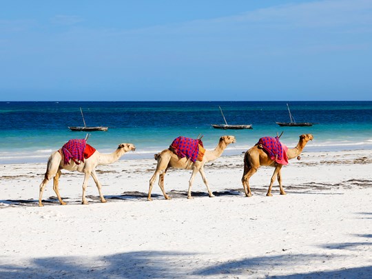 Diani Beach: sable blanc et eaux turquoise
