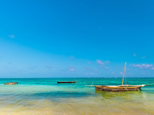 Un décor paradisiaque à Diani Beach