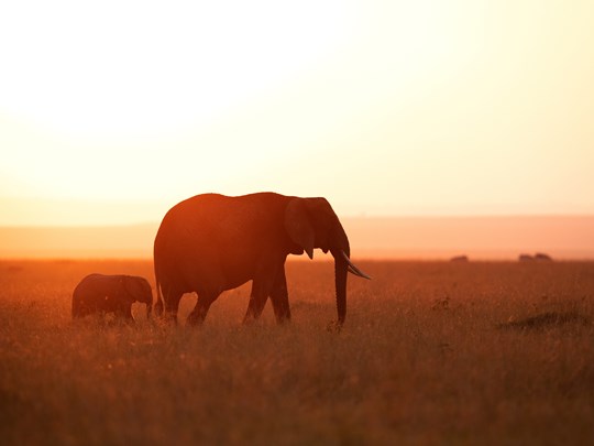 Kenya